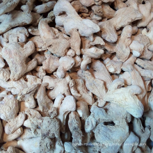 Professional supplier of new harvest healthy air dried split ginger